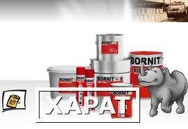 Фото BORNIT-Aнтиграффити AGS 104