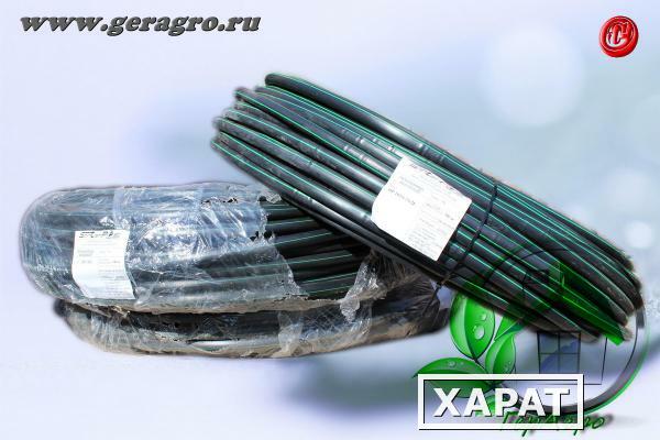 Фото Капельная трубка "Drip Pipe" (бухта 100 м)