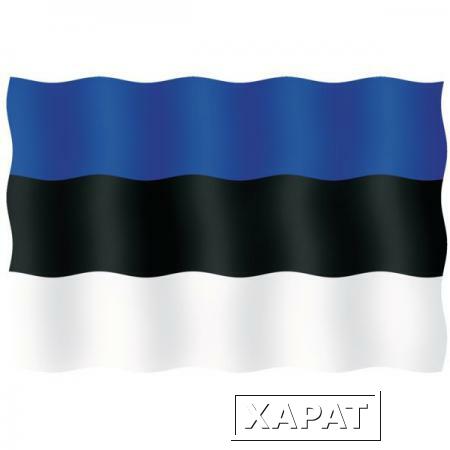 Фото Maritim Флаг Эстонии гостевой из перлона/шерсти 20 x 30 см 20030-33103