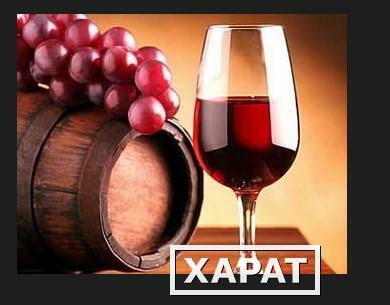 Фото Винный виноград изабелла красный