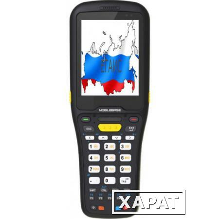 Фото MobileBase Комплект ТСД MobileBase DS5 ЕГАИС