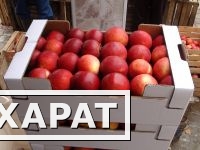 Фото Продам польские яблоки