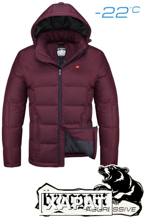 Фото NEW! Куртка зимняя мужская Braggart Aggressive 2433 (красный), р.S, M, L, XL, XXL