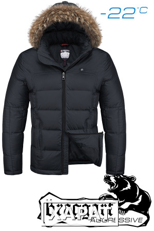 Фото NEW! Куртка зимняя мужская Braggart Aggressive 1233 (графит), р.S, M, L, XL, XXL