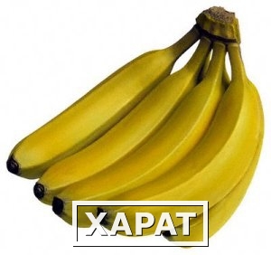 Фото Бананы