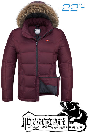 Фото NEW! Куртка зимняя мужская Braggart Aggressive 1233 (темно-бордовый), р.S, M, L, XL, XXL