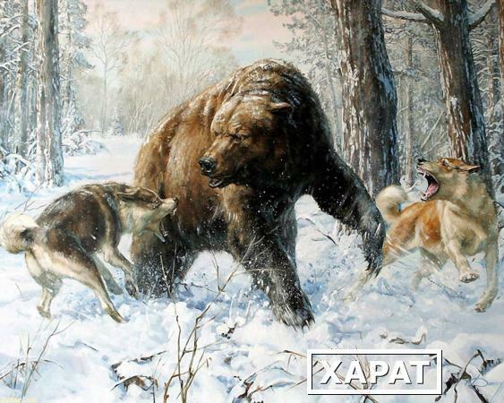 Фото "Охота на медведя", холст/жикле, 30х45
