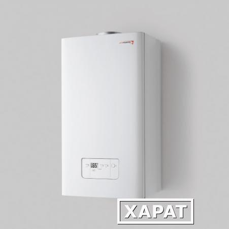 Фото Газовый котел настенный Гепард 23 MOV Protherm, 2-х контурный, 23 кВт