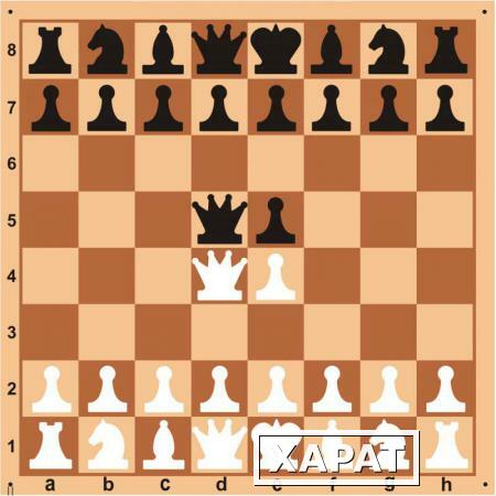 Фото Доска шахматная демонстрационная цельная 100*100см