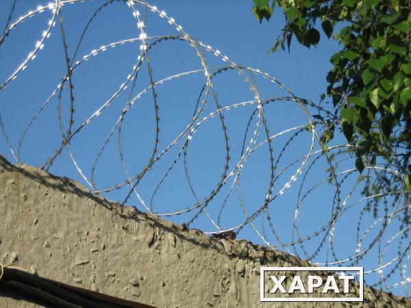 Фото Егоза спиральный барьер безопасности оцинкованный