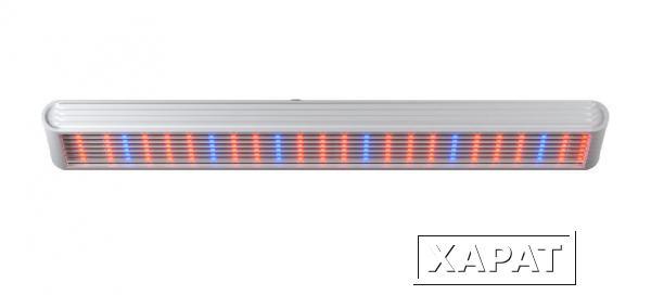 Фото Светодиодный фитосветильник Geniled Element Agro 0,5х1 70Вт Прозрачный