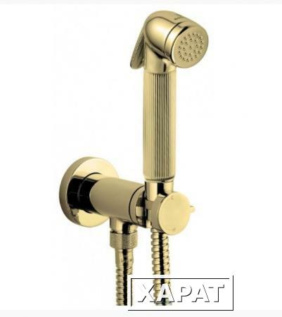 Фото Гигиенический душ со встраиваемым смесителем BOSSINI NIKITA E37008B.021 золото