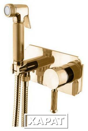 Фото Гигиенический душ встраиваемый Cezares OLIMP-DIF-03/24 золото