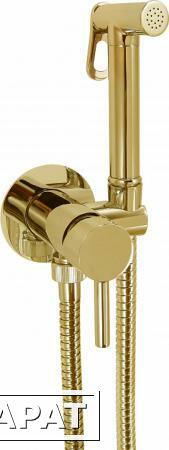 Фото Giulini FSH25/BDOR гигиенический душ со смесителем золото