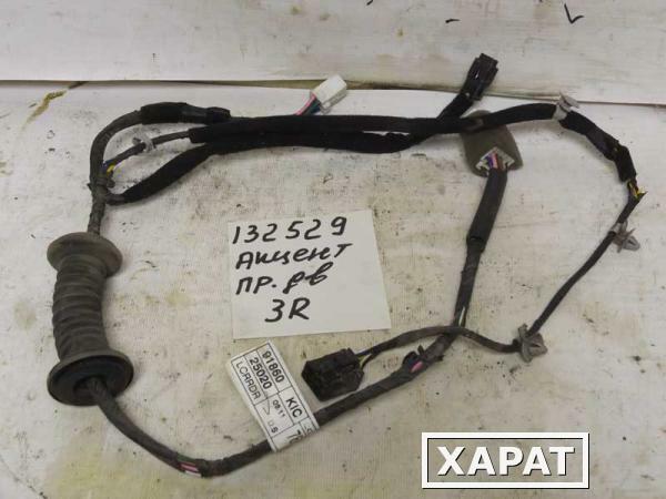 Фото Проводка двери задней правой Hyundai Accent 9186025020 (132529СВ2) Оригинальный номер 9186025020