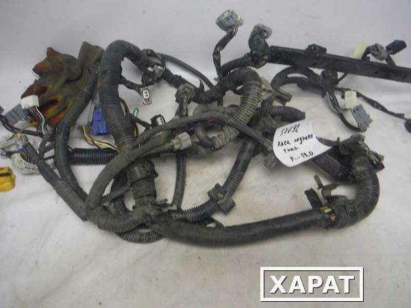 Фото Проводка подкапотная Toyota Corolla 120 (057092СВ2)