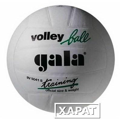 Фото Мяч волейбольный Gala Training (синтетическая кожа)