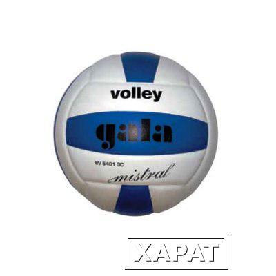 Фото Мяч волейбольный Gala Mistral