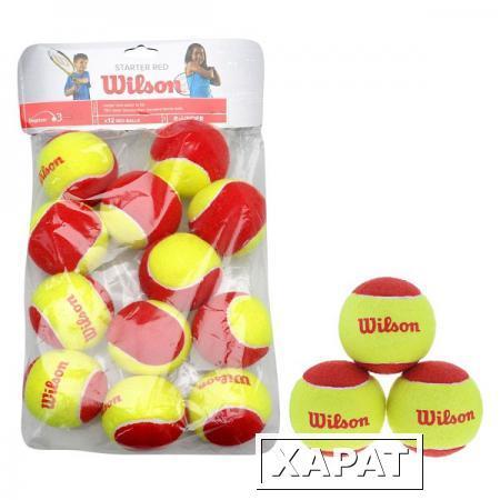 Фото Мяч теннисный Wilson Starter Red