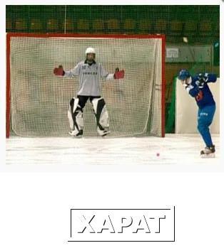 Фото Сетка для хоккейных ворот (хоккей с мячом)