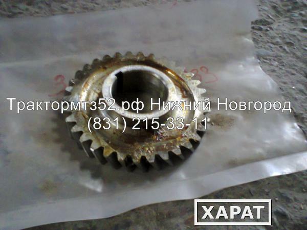 Фото Шестерня привода масленного насоса 3LD-1005033 МТЗ-320..4 в Нижнем Новгороде