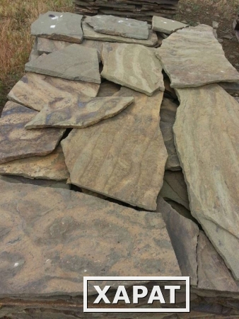Фото Камень натуральный природный песчаник серо-зеленый Рыбка