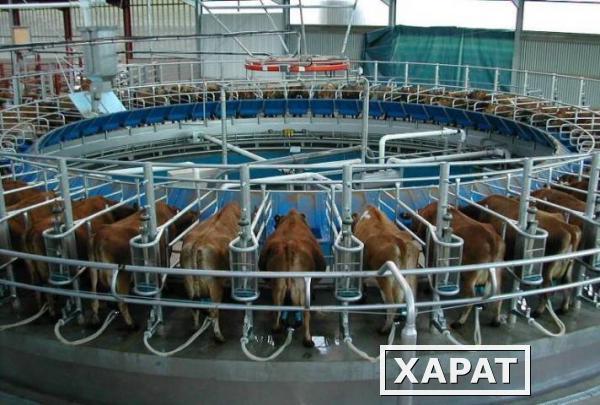 Фото Роторный доильный зал PR3100HD типа «Параллель» Delaval