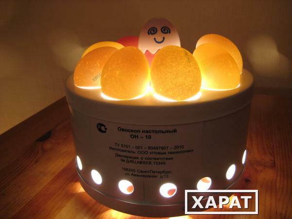 Фото Прибор контроля качества яиц