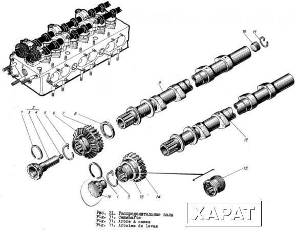 Фото Гайка 407-451