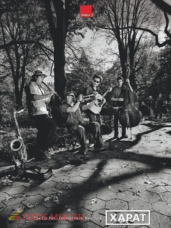 Фото Акустическая панель DALI ACOUSTIC PANEL/The Tin Pan (Central Park) A1