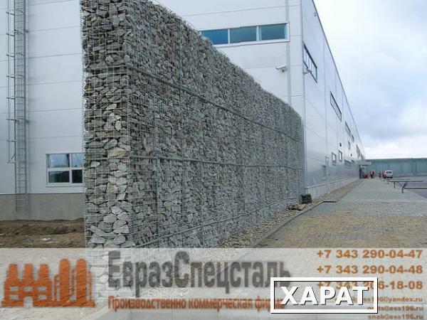 Фото Профнастил 0,5 НС35 Звонитем2 ECOSTEEL M...