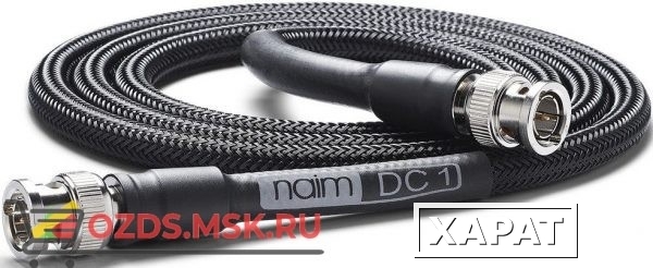 Фото Naim DC1 BNC