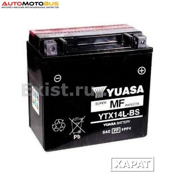 Фото Yuasa YTX14L-BS