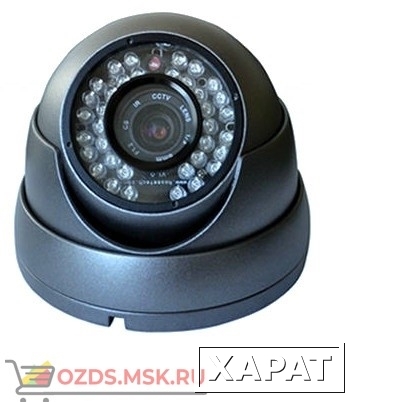 Фото ZM-CAM-HLS01 Видеокамера внутренняя с возможностью циклической записи видео в VGA-качестве со звуком