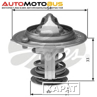 Фото Термостат GATES TH29882G1