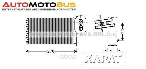 Фото Радиатор охлаждения двигателя Ava VW6296