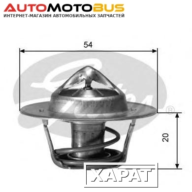 Фото Термостат Gates TH00191G2
