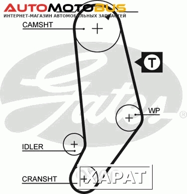 Фото Ремень ГРМ Gates 5245