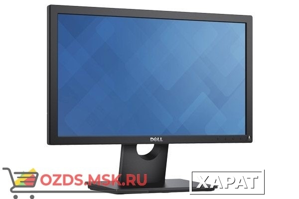 Фото DELL E1916H: ЖК монитор