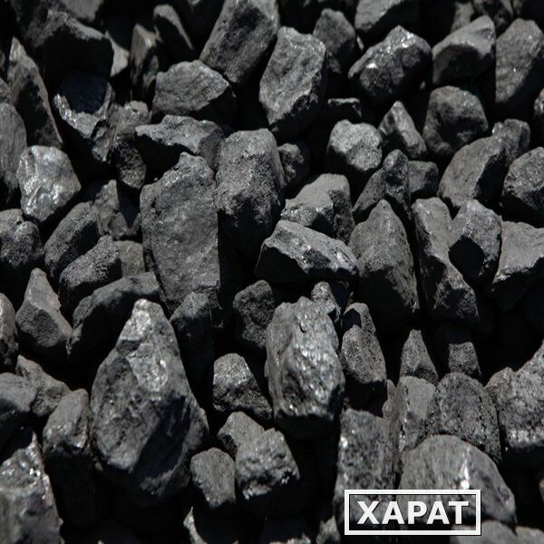 Фото Каменный уголь ДПК  в Пушкине Спб