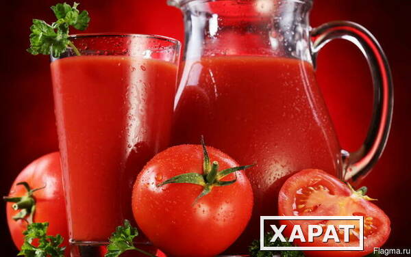 Фото Линия томатного сока и томатной пасты
