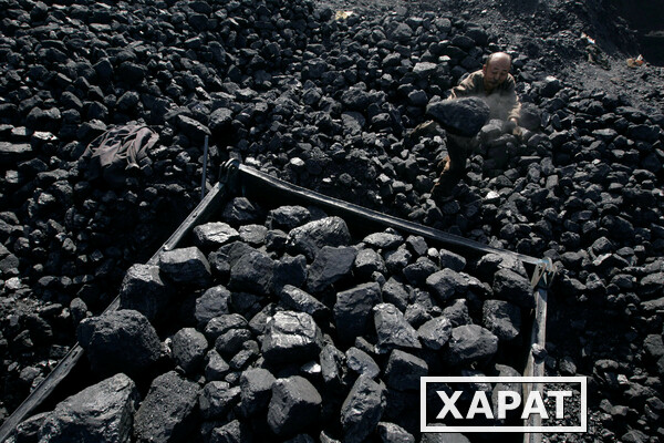 Фото Длиннопламенный уголь фасованный в мешки
