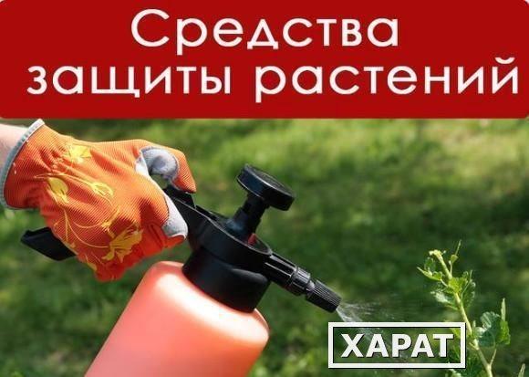 Фото Купим все виды удобрений