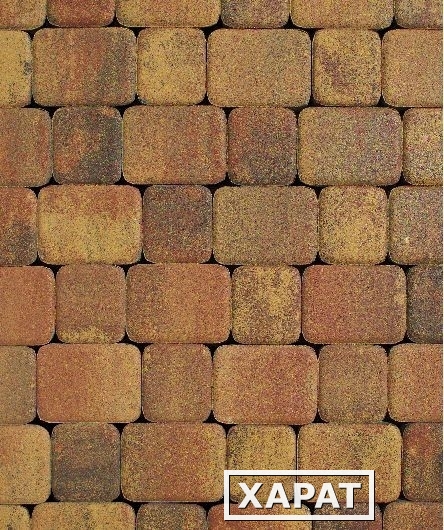 Фото Тротуарная плитка Выбор Классико Гладкий Листопад, 40 мм 2 камня Осень