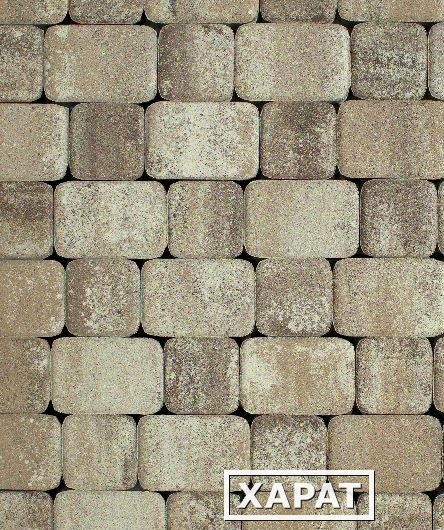 Фото Тротуарная плитка Выбор Классико Гладкий Листопад, 40 мм 2 камня Хаски