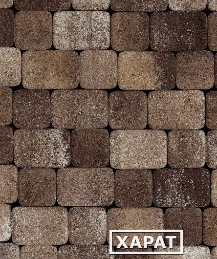 Фото Тротуарная плитка Выбор Классико Гранит Листопад, 40 мм 2 камня Хаски