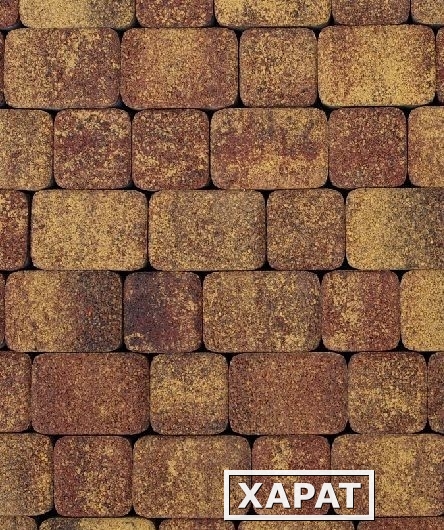Фото Тротуарная плитка Выбор Классико Гранит Листопад, 40 мм 2 камня Осень