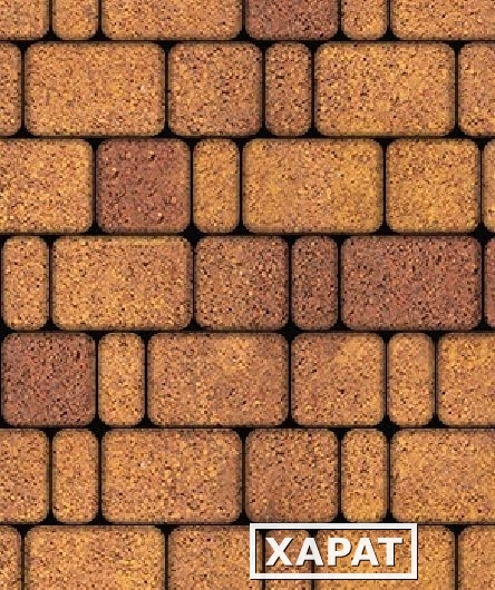 Фото Тротуарная плитка Выбор Классико Гранит Листопад 60 мм 3 камня Осень