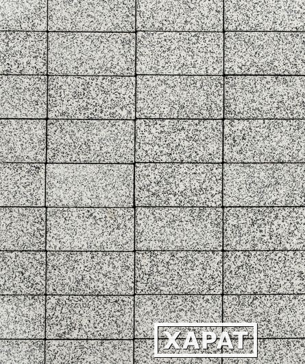 Фото Тротуарная плитка Выбор Ла-Линия Стоунмикс 60 мм 100х200 Бело-черная