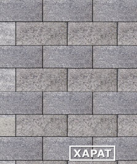 Фото Тротуарная плитка Выбор Ла-Линия Искусственный камень 80 мм 100х200 Шунгит
